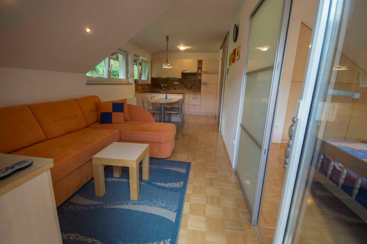 Apartma Mojca Bohinj Zewnętrze zdjęcie
